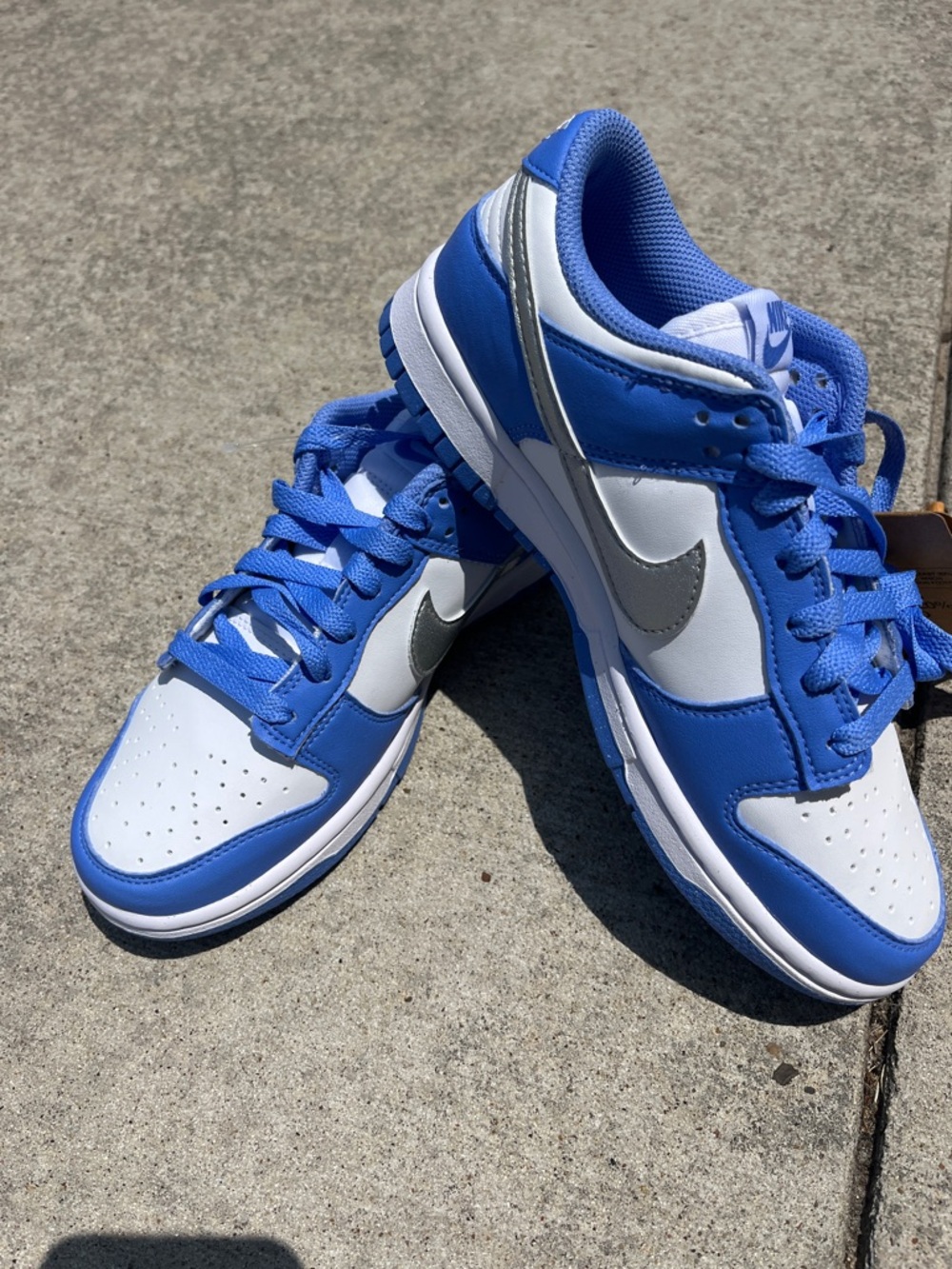 Nike dunk low next nature Low-Top royal pulse dd1873-402 no box